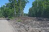 Clearing the forest during the paving project on H-58 during the summer of 2009