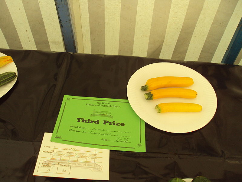 File:Courgettes, Wirral flower and vegetable show - DSC08222.JPG