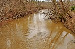 Crabtree Creek (Neuse River tributary)