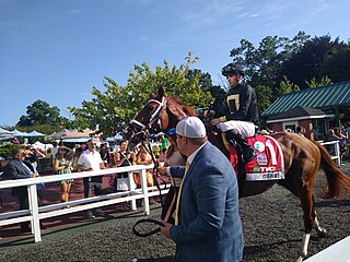 <span class="mw-page-title-main">Cyberknife (horse)</span> American-bred Thoroughbred racehorse