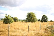 un champ rue des Vignes à Dame-Marie-les-Bois