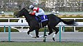 第69回優勝馬ダノンプレミアム