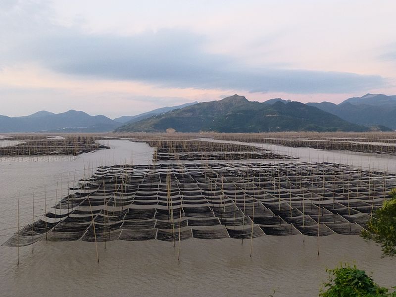 File:Dayu Bay - DaAo Cun - P1210427.JPG