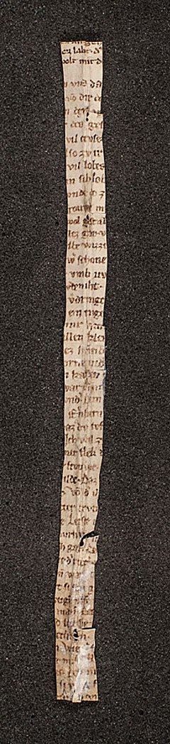 Der rosendorn fragment (complete).jpg