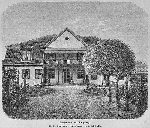 Die Gartenlaube (1873) b 507.jpg