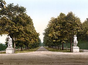 Dresden Großer Garten Herkulesallee 1900.jpg