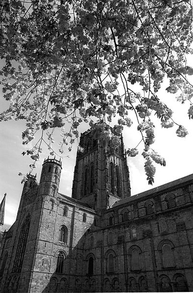 File:Durham Cathedral, Blosssom Time - panoramio.jpg