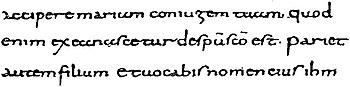 EB1911 Palaeography - Gospels (2).jpg