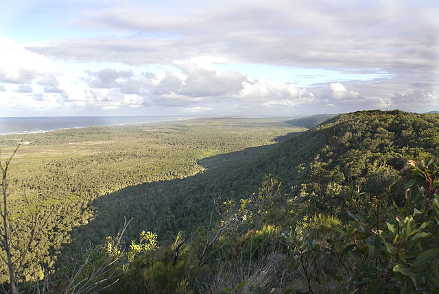 View of the wetland from the high dune escarpment