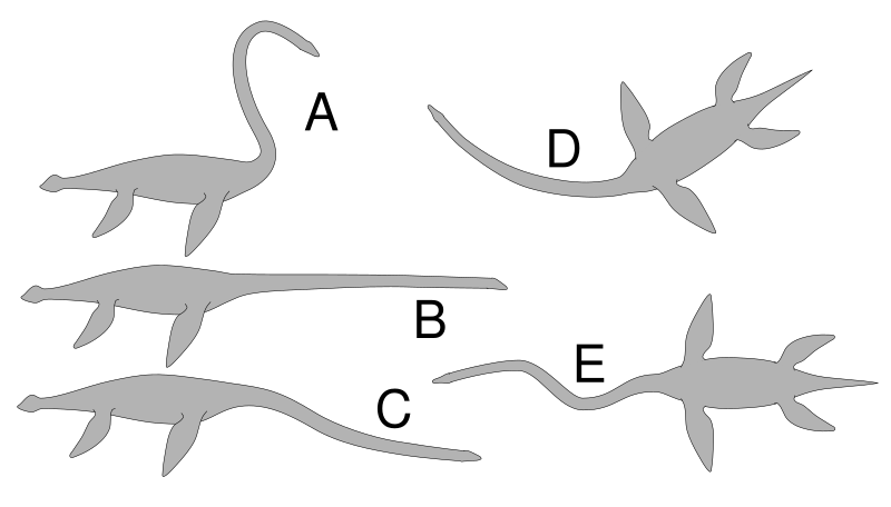 File:Elasmosaurid Neck Flexibility.svg