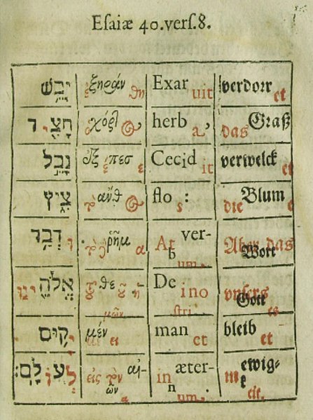 Isaiah chapter 40, verse 8 in Hebrew, Greek, Latin and German, with the verse analysed word-by-word. In English, this verse is translated "The grass w