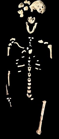 Homo Naledi: Ontdekking, Naamgeving, Datering