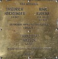 wikimedia_commons=File:Erinnerungsstein für Friedrich Hochsinger, Irma Kudrna und Franziska Wasser.jpg