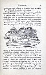 Thumbnail for File:Extinct monsters (Page 85) BHL20699652.jpg