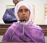 Somali health minister Fawziya Abikar Nur