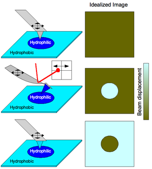 Figure 3: (Top) Scan of a patterned surface with regular tip (no functional groups) would produce an image with no contrast because the surface is morphologically uniform. (Middle) A hydrophilic tip on the hydrophilic functionalized portion of the surface causes the cantilever to bend due to strong interactions which is detected by laser deflection therefore producing a chemical profile image of the surface. (Bottom) Cantilever functionalization is switched such that the tip is bent when encountering hydrophobic areas of the substrate instead. Figure3.png