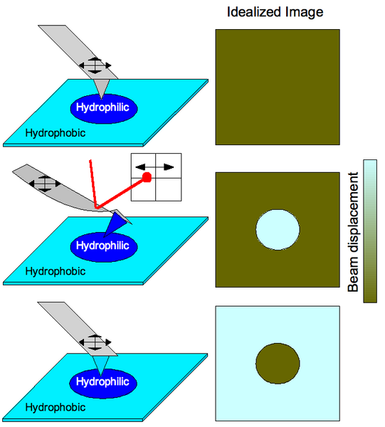 File:Figure3.png