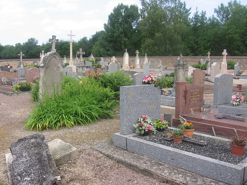 File:Flée cimetière 2007.JPG