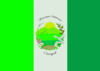 Flag of Carrizal municipality.webp
