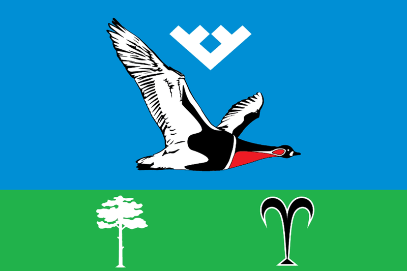 File:Flag of Talinka.png