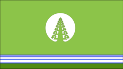 Flag of Tattinsky District