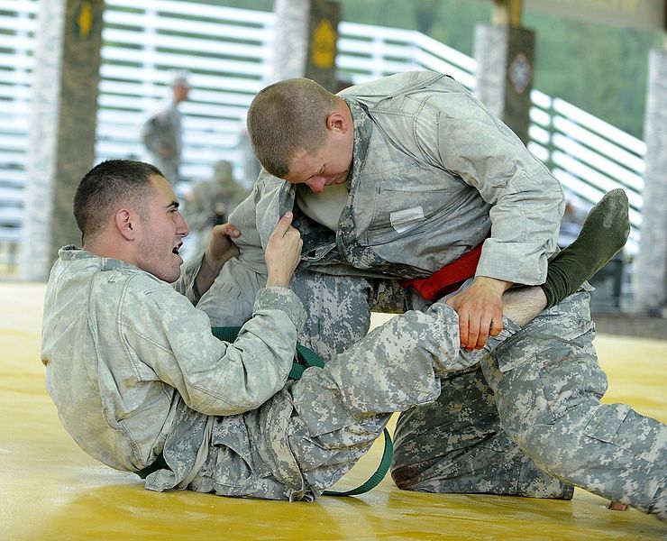 File:Flickr - The U.S. Army - Army Combatives Tournament at Army Best Warrior Competition.jpg