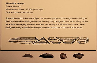 Flint Microliths, Mushabian culture, Israel Museum Flint Microliths, Mushabian culture.jpg