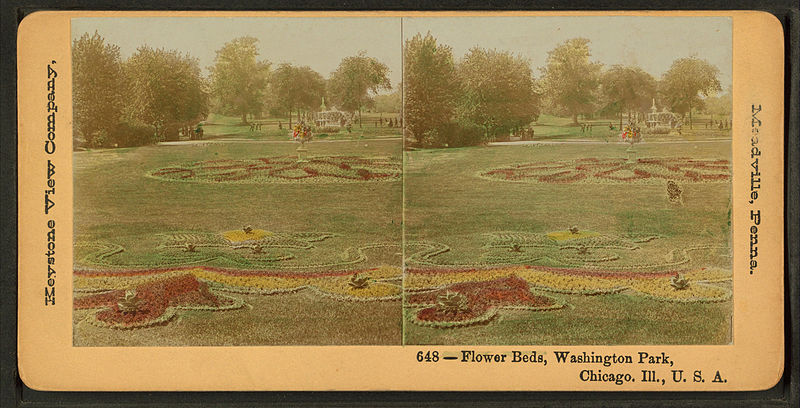 File:Flower beds, Washington Park, Chicago, Ill., U.S.A, by Keystone View Company.jpg