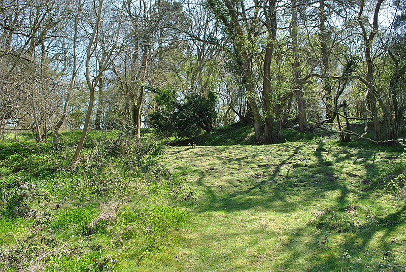 File:Forest Hill Camp - panoramio - ian freeman.jpg