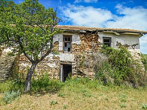 Требичино: Географија и местоположба, Историја, Стопанство