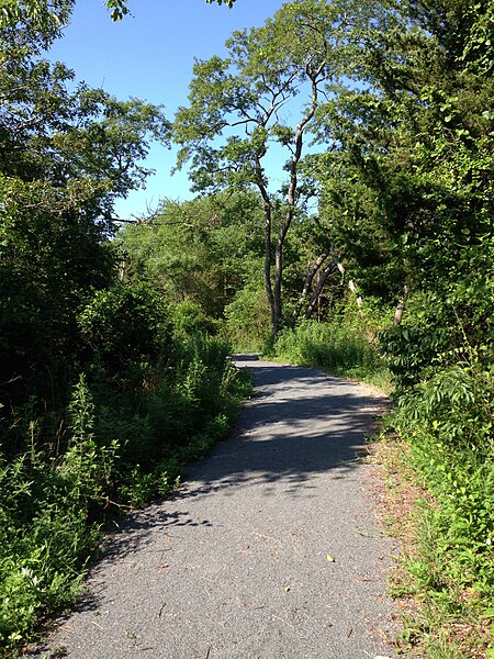 ไฟล์:Forsythe wildlife drive after hurricane repairs (9291038569).jpg