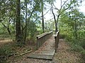 North end, Withlacoochee River overlook entrance