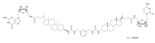 G-quartet cholate channels.svg