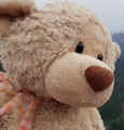 Gund teddy bear on a mountain