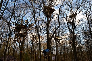 Räumung des Hambacher Forsts 2018