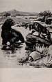 Giant Sloth, Megatherium, Saber-tooth Tiger, Glyptodont, Armadillo (NBY 415765).jpg