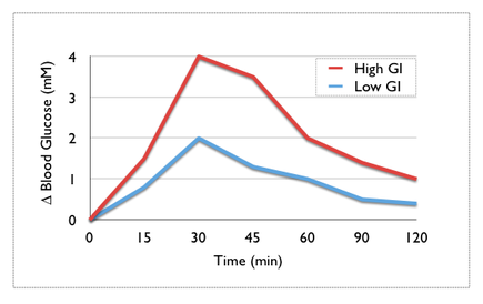 glucose postprandial glycemic carbohydrate changes