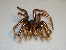 A spider sputter-coated in gold, having been prepared for viewing with an SEM Gold Spider SEM sample.jpg