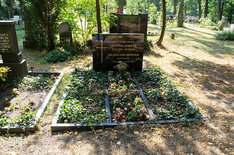 Datei:Grab Günter Dörner Hedwigs Friedhof Weissensee.jpg