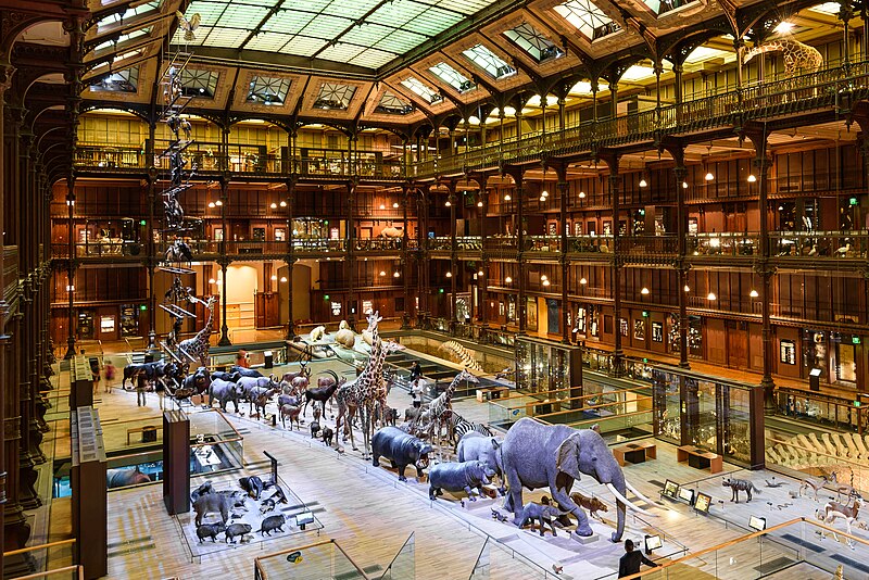 File:Great gallery of evolution, Paris 1 July 2015.jpg