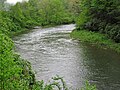 Greenbrier River (downstream from Durbin, West Virginia, USA) 3 (27170747193).jpg