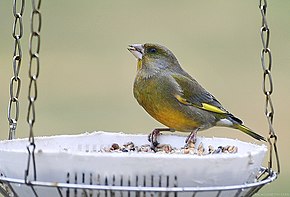 Popis tohoto obrázku, také komentován níže