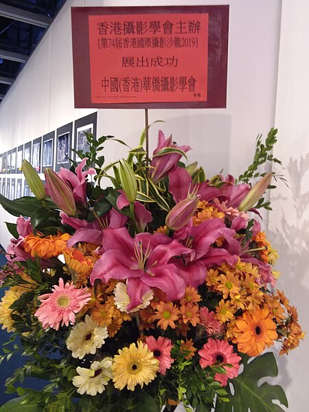 File:HK City Hall lower block Exhibition Hall 香港攝影學會 Hong Kong International Salon of Photography December 2019 SSG 03.jpg