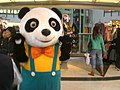 HK Dragon Centre Apple Mall Giant Panda Cosplay 1.JPG