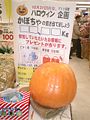 2005年10月18日 (火) 15:53時点における版のサムネイル