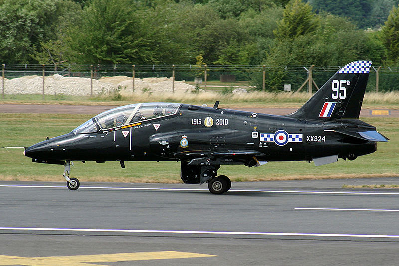 File:Hawk (5131252606).jpg