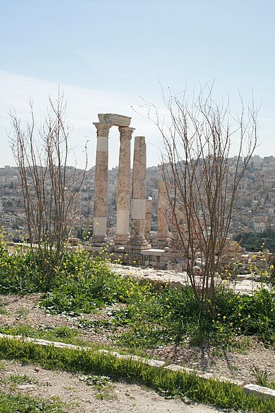 File:Hercules Temple Amman citadel spring.JPG
