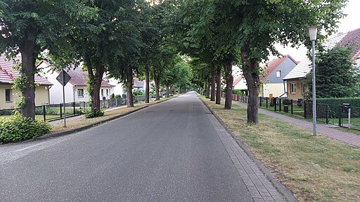 Hertefelder Dorfstraße-Hertefeld