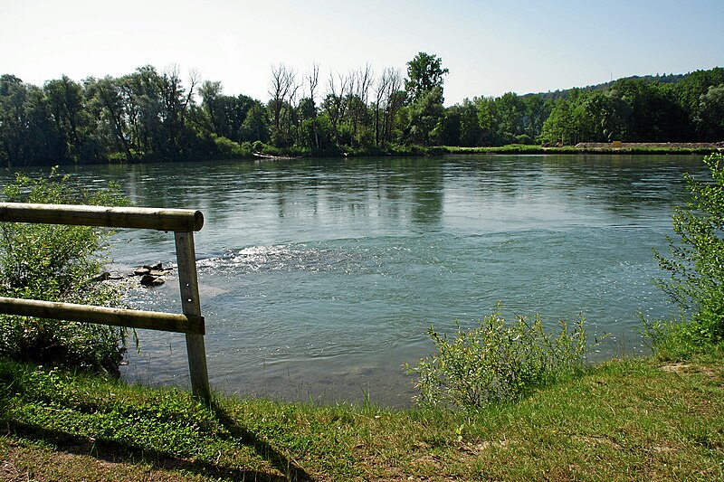 File:Hochrheinfahrt-vor-koblenzer-laufen-ausbootstelle.JPG