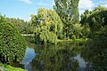 Čeština: Rybník v Horoměřicích English: Pond in Horoměřice near Prague, CZ